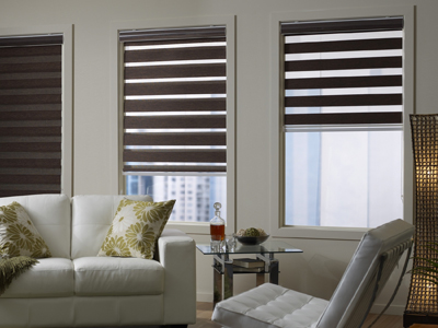 Zebra Blinds